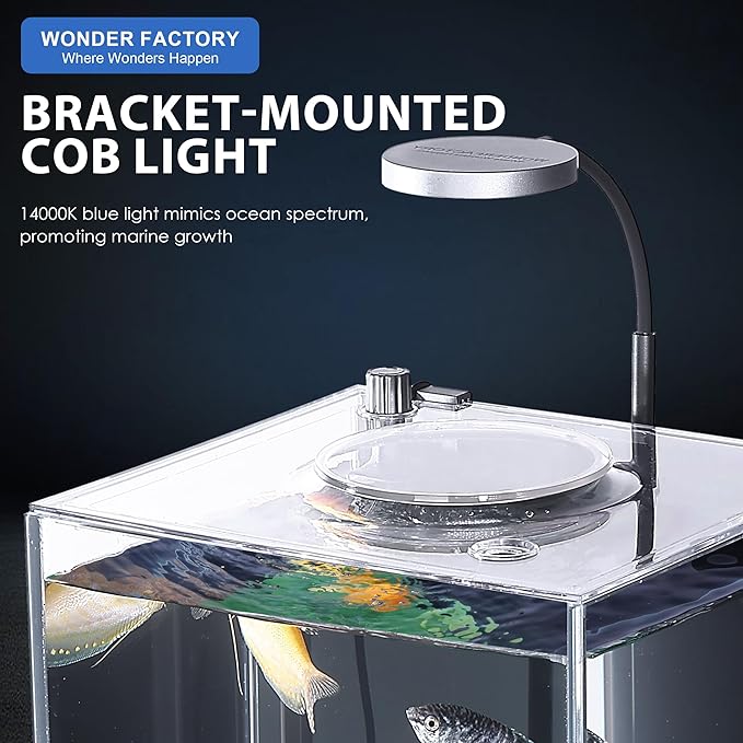 Wonderfactory 3 Gallon Aquarium Fish Tank, Self-Cleaning Betta Tank with Filter and Light, Starter kit with Rocks, Plants & Cleaning Tools, Suitable for Beginners and Hobbyists