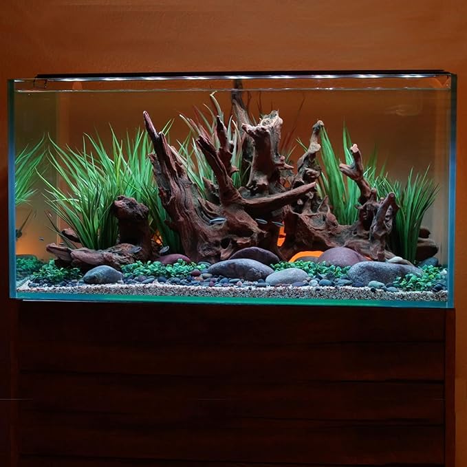 Current USA 72" Inch Satellite Freshwater LED Plus Full Spectrum RGB+W Light for Aquariums | Wireless 24 Hour Remote Control Fish Tank Lighting (4509)
