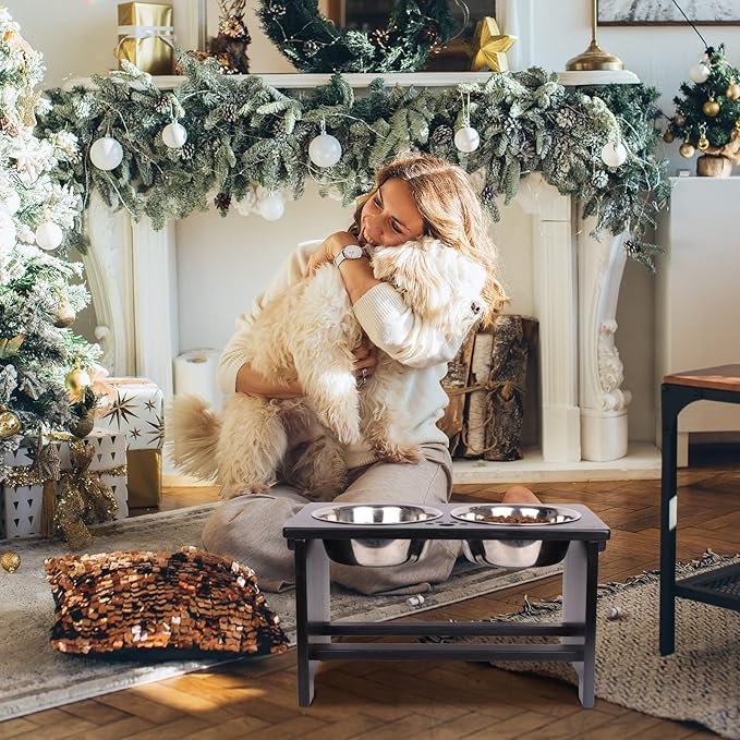 HTB Elevated Dog Bowls,Raised Dog Bowl Stand with 2 Stainless Steel Bowls,Elevated Raised Dog Bowls for Large Medium Small Sized Dogs