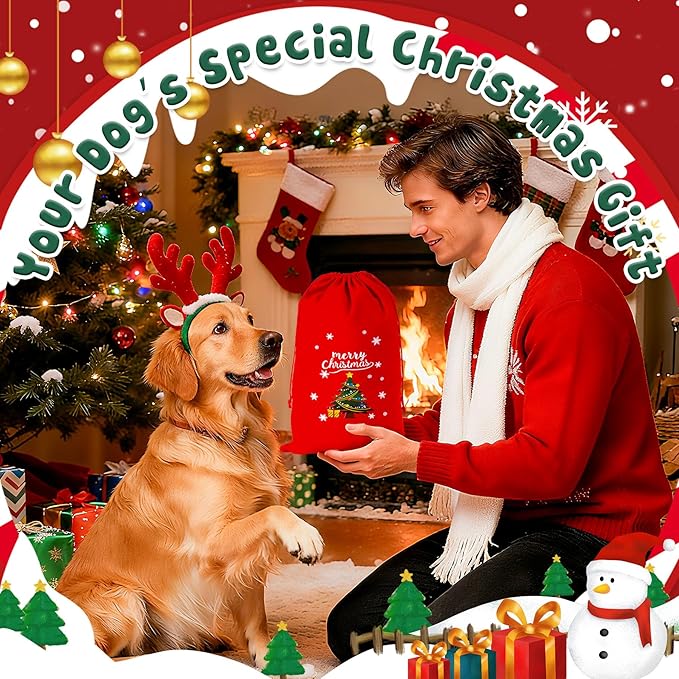 Heavy Duty Christmas Dog Rope Toys for Aggressive Chewers- Tough Tug of War & Chew Toys for Large, Medium & Small Dogs, 5 Pack Including 2 Ropes & 3 Supplies