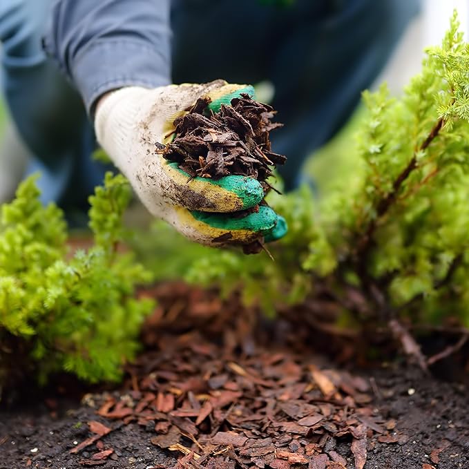 Premium Brown Wood Mulch for Landscaping, Gardens, Lawns, Potting Media, and Potted Plants (0.3 CF - 8 L - 9 QTS)