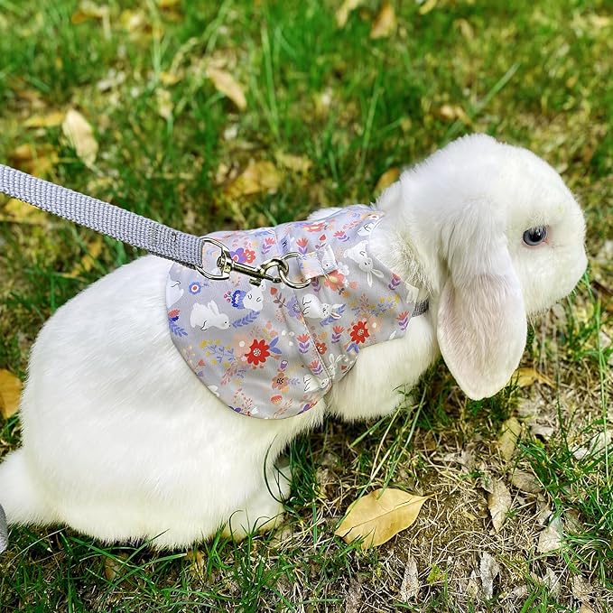 2-Pack Small Pet Harness & Leash Set – Soft, Adjustable Vest for Rabbits, Kittens, Squirrels & More (Grey, L)