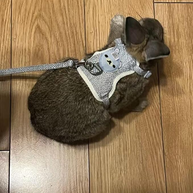 2-Pack Rabbit Harness and Leash Set – Adjustable Small Animal Vest Harness with Safety Buckle – Breathable & Lightweight – Ideal for Rabbits, Ferrets, Guinea Pigs, and Cats (Grey)