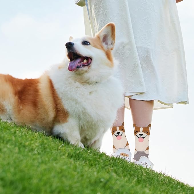 Jeasona Women's Cat Socks Cat Gifts Cute Animal Socks Dog Owl Gifts for Women