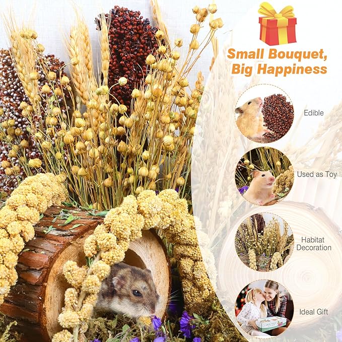 Natural Hamster Bedding, Hamster Herbs Flowers for Hamster Cage Enclosure Habitat Decor Hamster Sprays for Dwarf Syrian Guinea Hamsters Gerbil Degus or Other Small Animals(Grain Version)