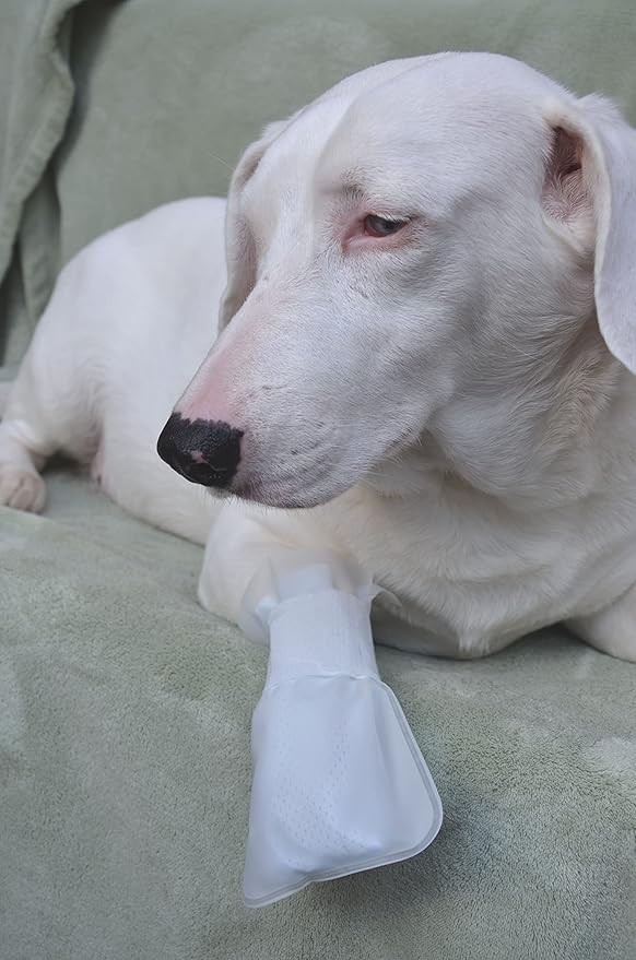 Outdoor Water Proof Cover. Slides Over MediMitts for Dogs paw (which are Sold Separately) Fastens with Medimitt Strap. Useful for hot Spots, Allergies and More. Value 20pack (Small)