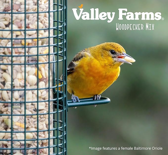 Valley Farms Woodpecker Mix, No Mess Bird Seed for Outdoor Feeders, W/Peanuts and Sunflower Hearts for Birds, Woodpecker Food, Attract All Bird Species (4 LBS)