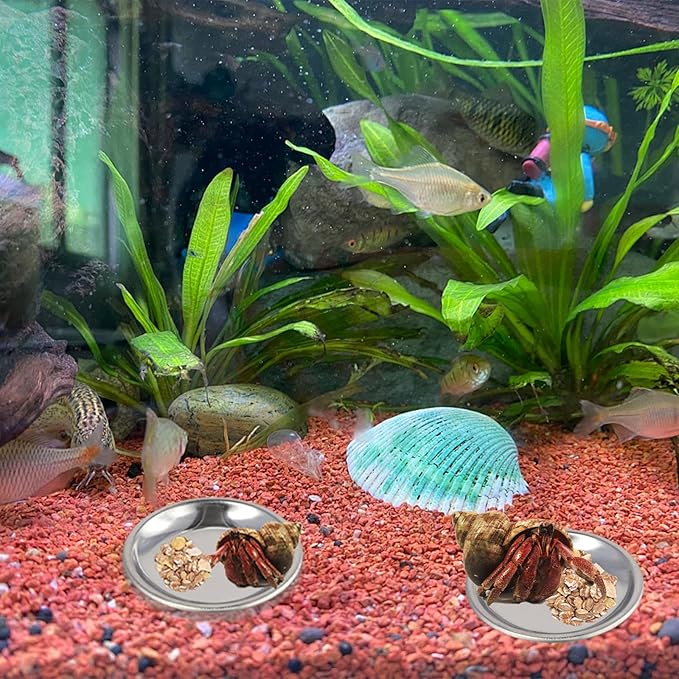 10 Pcs Hermit Crab Food Dish, Stainless Steel Hermit Crab Water Bowl, Reptile Feeding Bowls, Tank Aquarium Accessories, for Crab Snail Gecko Insect