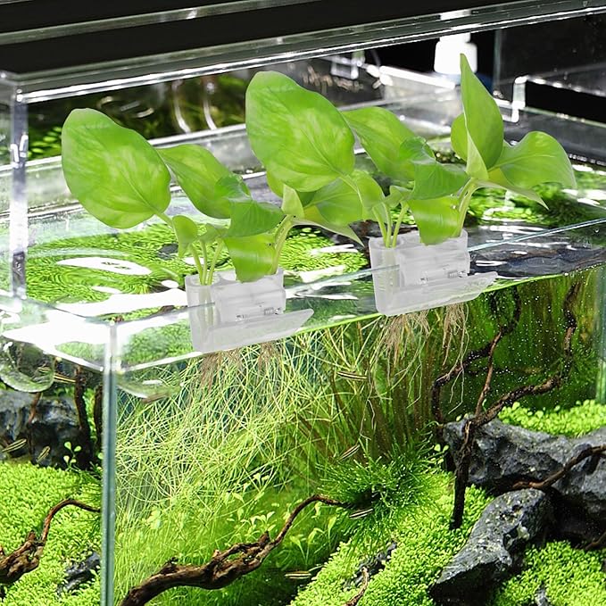 3 Holes Upgraded Aquatic Plant Cup Aquarium Plant Holder for Tank,Hanging Aquarium Plant Holder,Aquarium Aquatic Plant Cultivation,Aquarium Plant Decoration. (White 4PCS)