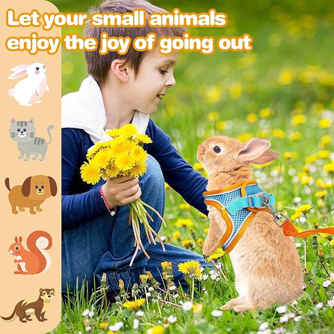 PINVNBY 2 Pack Bunny Hsrness and Leash Set Adjustable Rabbit Harness with Reflective Strips Double Buckle Pet Vest Eescape Proof for Small Rabbit Kitten Puppy Walks Accessories (Orange Blue, M)