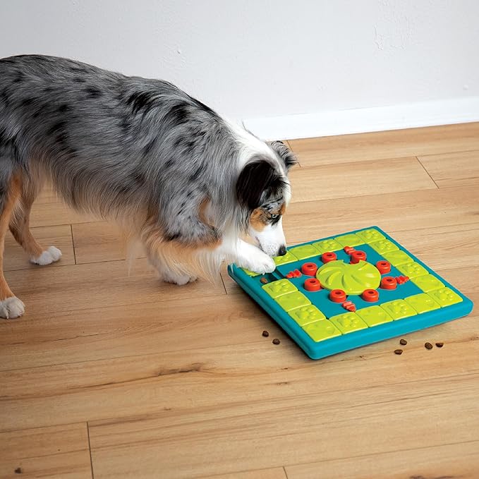 Outward Hound by Nina Ottosson Multipuzzle Level 4 Expert Dog Treat Puzzle for Enrichment, Blue