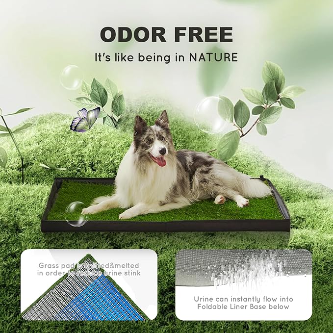 Dog Grass Pad with Foldable Dog Litter Box,Small Liner Base for Balcony,Ultra-Absorbent Artificial Grass Pads for Dogs Pee Pad Holder, Potty Training, 2 PCS Reusable Pee Pads