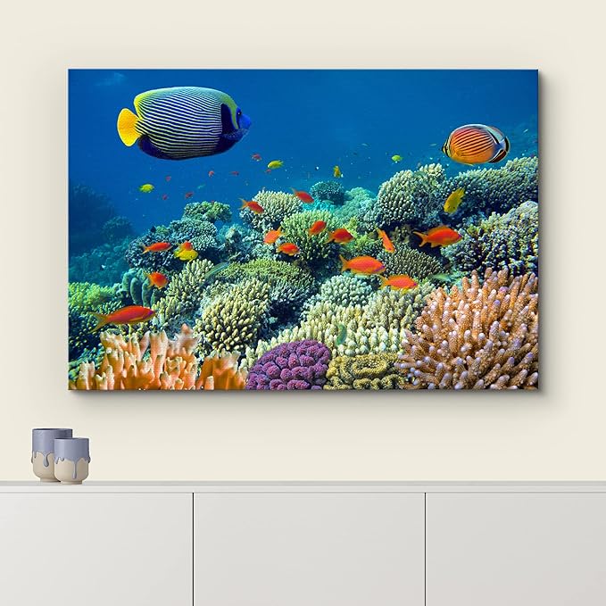 wall26 Canvas Print Wall Art Tropical Underwater Sea Coral Reef Fish Nature Animals Photography Realism Rustic Scenic Landscape Wilderness Earth Colorful for Living Room, Bedroom, Office - 32"x48"