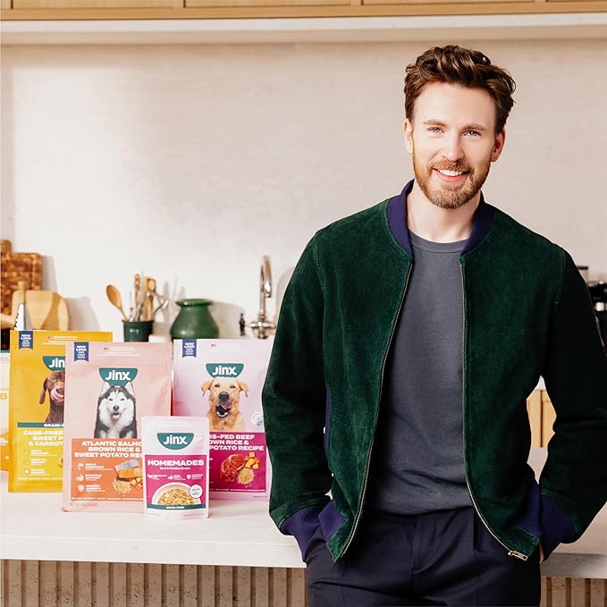 Jinx Salmon Grain Free Wet Dog Food Toppers, Meal or Mix with Dry Dog Food, Made with Real Salmon & Chicken, Bone Broth, No Fillers, Puppy, Adult, Senior, 9oz, 6 Pack