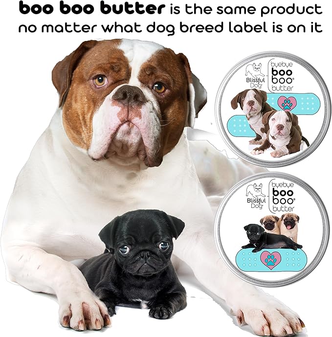 The Blissful Dog Corgi Boo Boo Butter, 16 oz.