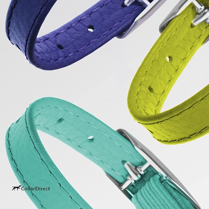 CollarDirect Leather Cat Collar, Kitten Collar with Removable Bell Black Blue Red Orange Lime Green (8-11 Inch, Lime Green)