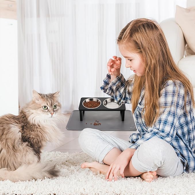 Upgraded Elevated Cat Bowls with Food Mat,15°Tilted Stand Anti Vomiting Raised Cat Dishes for Food and Water,2 Stainless Steel Bowls for Cats and Puppy(Black)