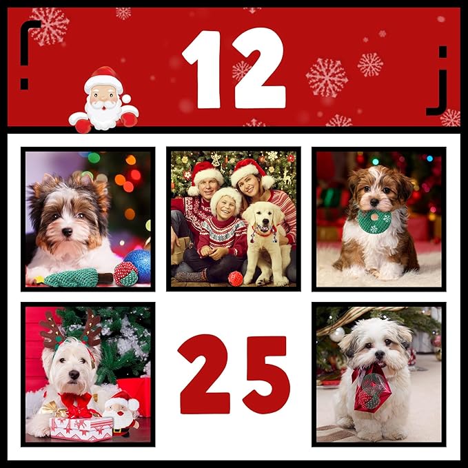 Zeaxuie Dog Chew Toys for Xmas - 9 Pack Santa Puppy Toys for Teething Small Dogs with Rope Toys, Treat Ball and Squeaky Dog Toys