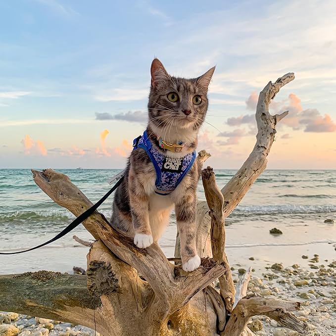 Travel Cat Harness and Leash Set - Adjustable Fit Mesh Cat Harness and Reflective Strap - Comfort Walking Vest for Kitten for Outdoor Walking, Hiking (Extra Small, Groovy)