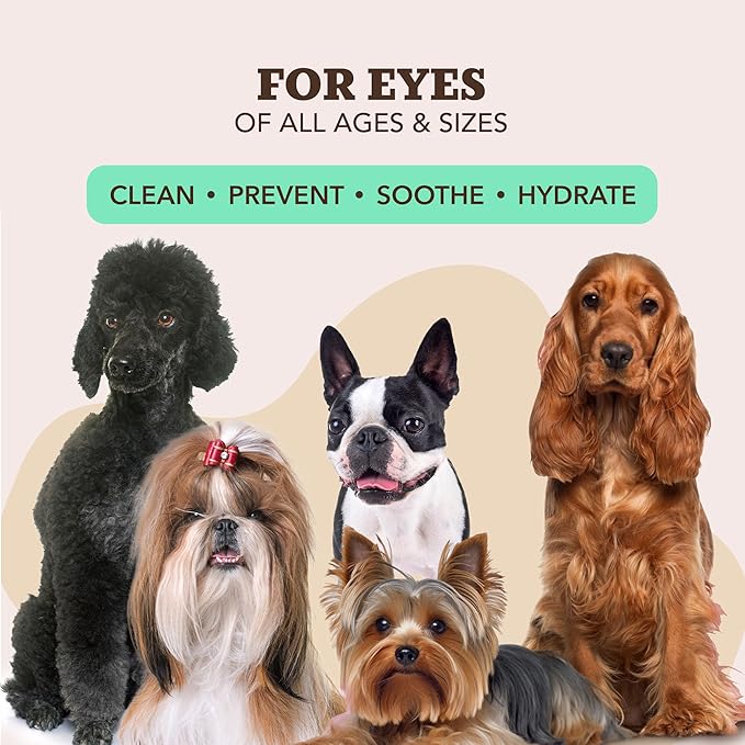 Natural Dog Snout Wipes, 50 Count - Snout Dog Wipes for Cleaning and Soothing, Natural, Non-Toxic Dog Care Products, Kukui Oil Infused, Snout Soother Wipes, Nourishing and Moisturizing Wipes for Dogs