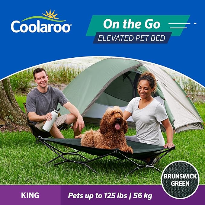 Coolaroo On-The-Go Elevated Dog Bed - Foldable Pop-Up Travel Dog Bed with Breathable, Moisture-Resistant Fabric, Carry Bag Included, Lightweight & Portable, Brunswick Green, Extra Large