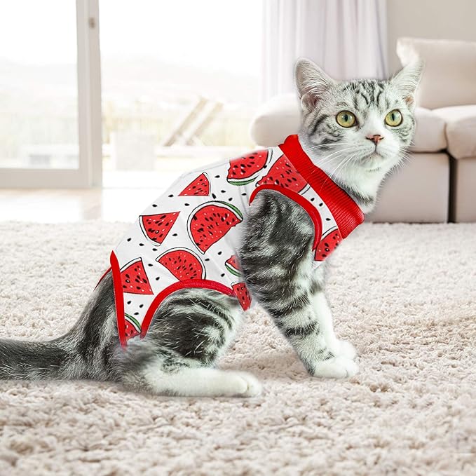 Cat Professional Surgical Recovery Suit,E-Collar Alternative for Cats Dogs,After Surgery Wear, Pajama Suit,Home Indoor Pets Clothing (S(3.3-5.5lbs), Watermelon)