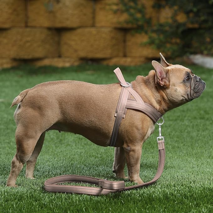 Plutus Pet No Pull Dog Harness with Breathable Mesh Padded, Adjustable Reflective Escape Proof Dog Harness, Quick Fit Dog Vest Harness for Small Medium Large Dogs(M, Beige)