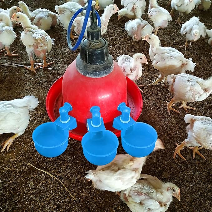 Patelai Chicken Water Cups, Chicken Waterer Cups Summer Water Feeder Cup 3/8 Inch Thread Automatic Filling Waterer Poultry Drinking Bowl for Duck Turkey Bunny(Blue,6 Pieces)