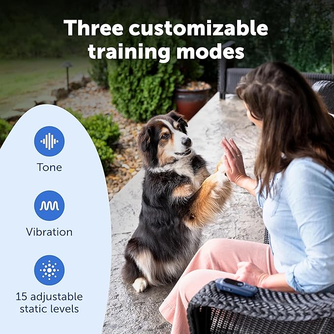 PetSafe Core Dog Trainer with Remote – Waterproof Training Collar – 1000 Foot Range – Tone, Vibration and 15 Levels of Static