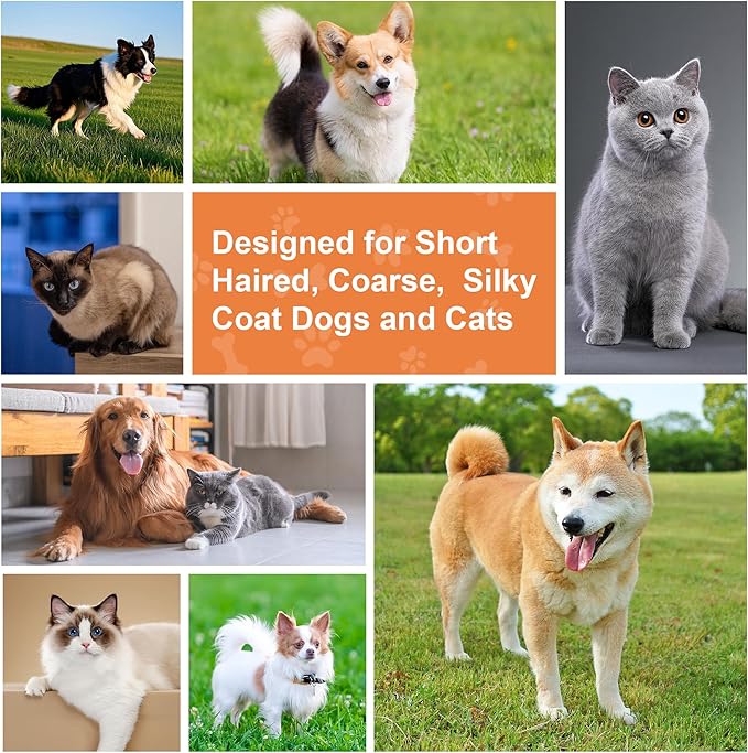 2 in 1 Pin and Boar Bristle Brush for Dogs & Cats, Shedding Grooming Dog Brush for Short Haired Dogs, Cats, Pets with Beech Wood Rubber Handle