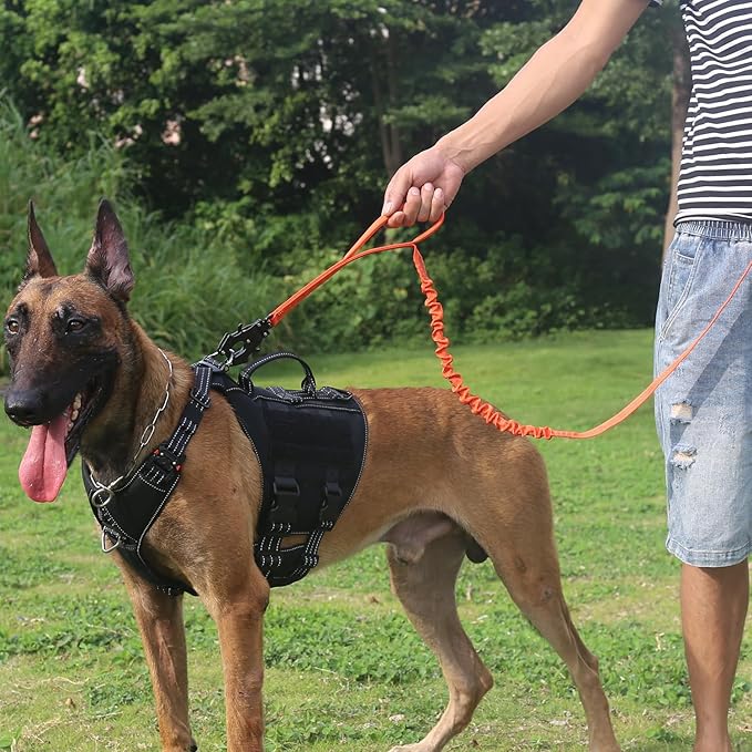 ICEFANG Tactical Dog Leash,K9 Training Walking Bungee Lead with 2 Control Handle,Heavy Duty Quick Release Metal Clasp,for Medium Large Breed (Reflective Orange, 6 FT)