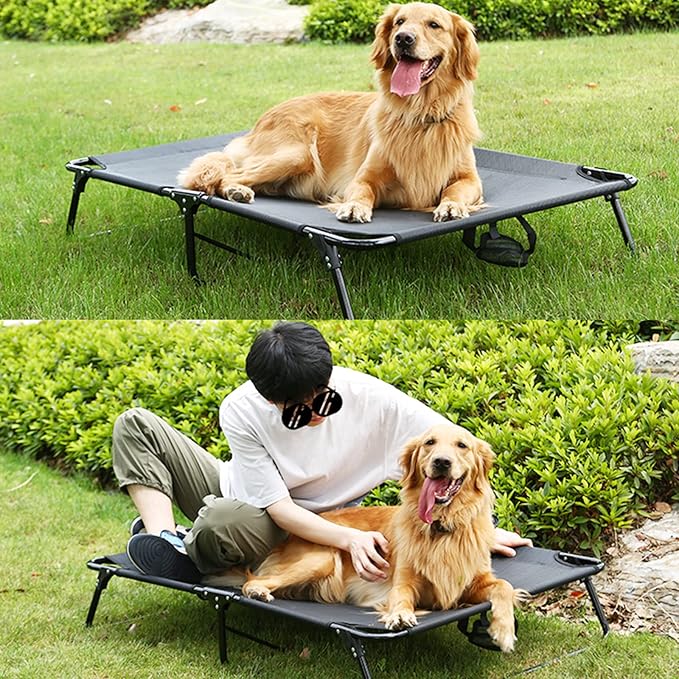 Elevated Raised Small Meduim Dog Bed Cots,Cooling Foldable No Assembly Need Pet Hammock Bed with Breathable Mesh, Indoor Outdoor Dog Pet Bed for Small Meduim Dogs, Chew Proof, Black