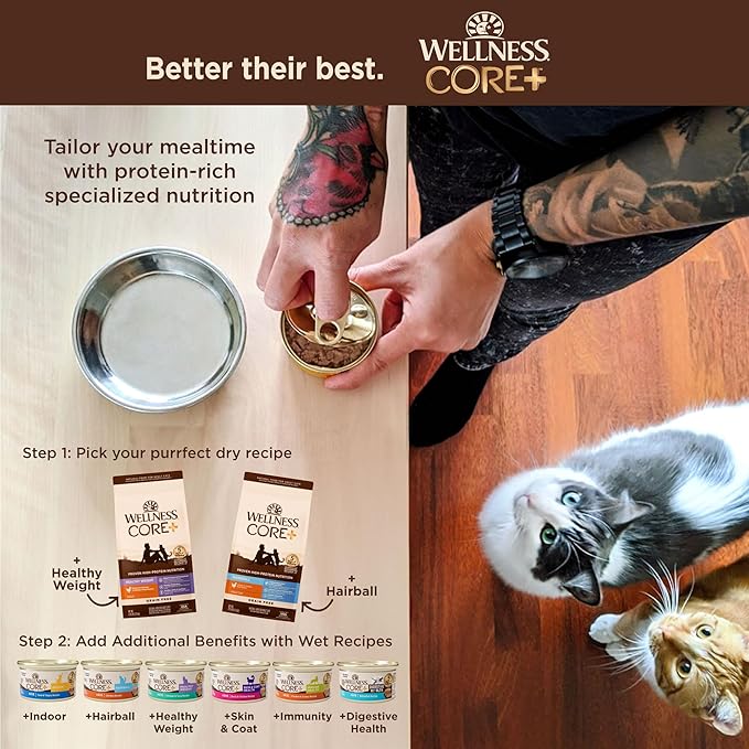 Wellness CORE+ Hairball Adult Dry Cat Food for Indoor & Outdoor Cats, Grain Free, Natural, Chicken and Chicken Meal (4.75 Pound Bag)