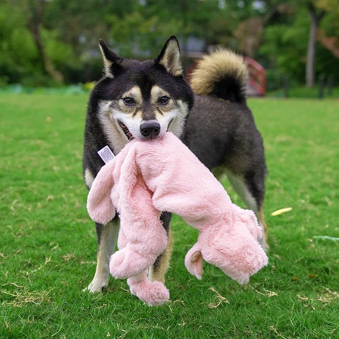 Best Pet Supplies Squeaky Dog Toys with Soft Durable Fabric for Small, Medium and Large Pets Interactive Toy for Indoor Play, Supports Active Biting and Play - Hare, Pig, Small