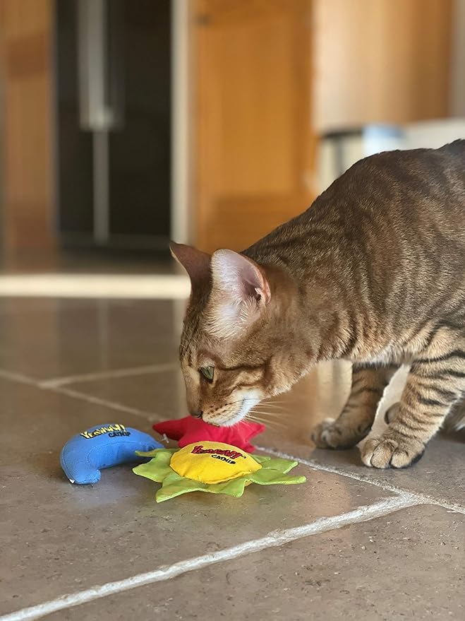 YEOWWW Catnip Cat Toy for Indoor and Outdoor Cats -Premium Quality Strong Catnip Toys for Cats (1x Crinkle Catnip Toy Sun 1 x Moon 1x Star)