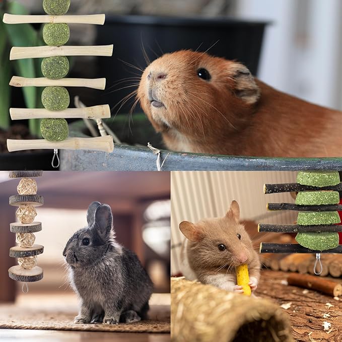 ERKOON Bunny Chew Toys, Rabbit Chew Toys for Teeth Grinding, Improve Dental Health, 100% Natural Apple Wood Timothy Grass Cake Treats for Rabbits Guinea Pigs Chinchillas Bunnies Hamsters (5 Pcs)