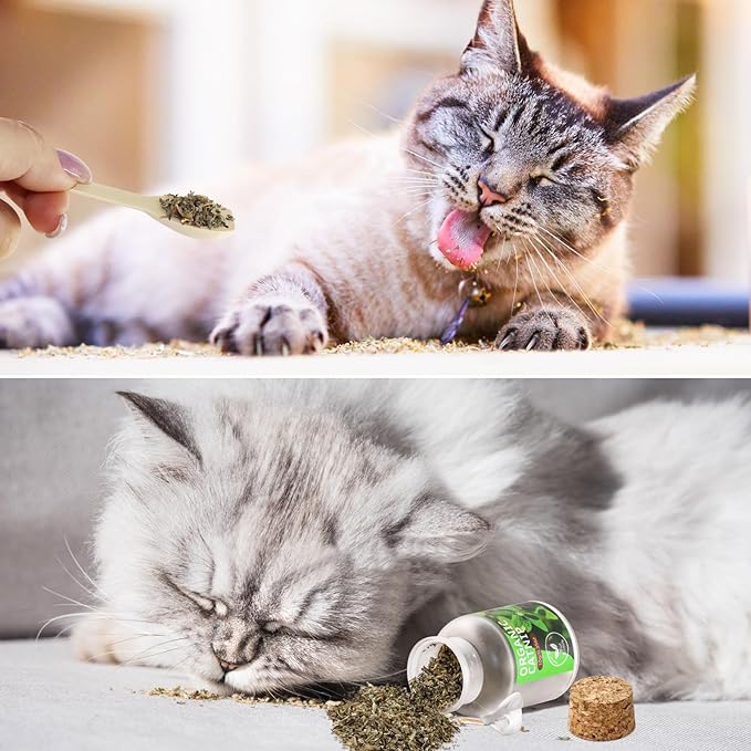 Natural Catnip for Cats,1.05 oz Cat Premium Organic Catnip,Safe & Non-Addictive Catnip Treats Used to Supplement Catnip Toys,Great for Training Redirecting Bad Behaviors
