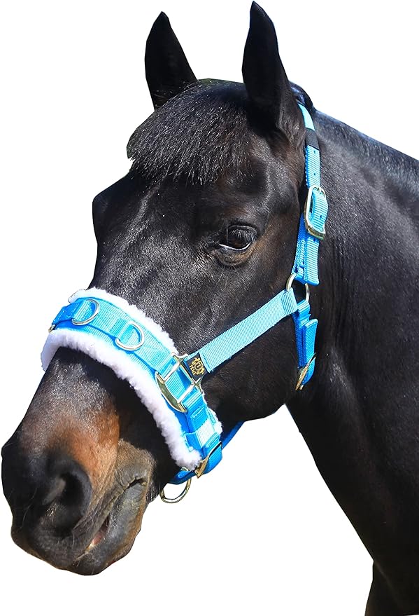 T TEKE Lunge Cavesson with Fleece Lined Nose Band and Crown