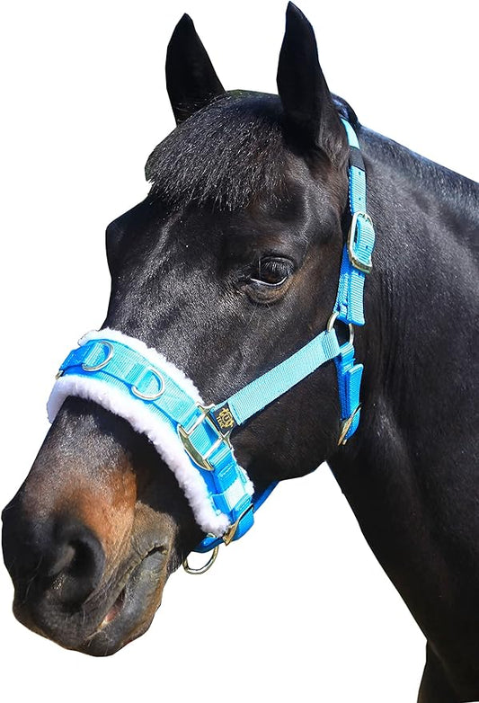 T TEKE Lunge Cavesson with Fleece Lined Nose Band and Crown