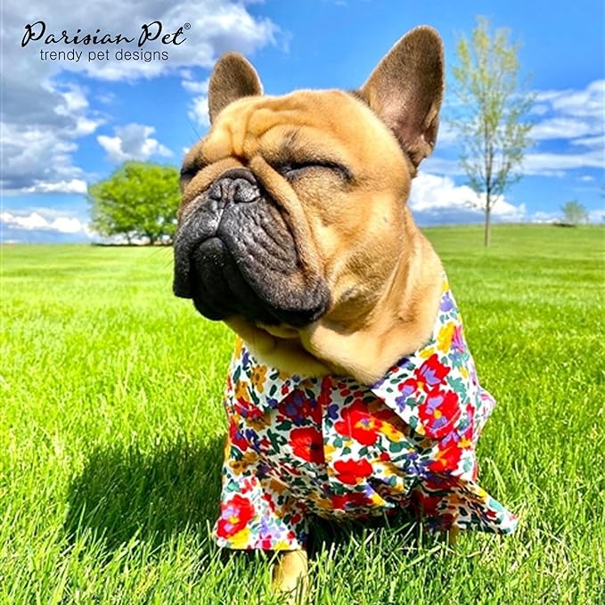Parisian Pet Floral Dog Shirt - 100% Cotton Summer Clothes - Stylish Beach Outfit - Hook and Loop Closure - Machine Washable - 2XL