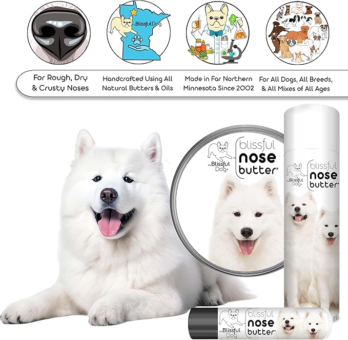 The Blissful Dog Samoyed Nose Butter for Dry, Cracked Skin, Lick-Safe Dog Nose Balm with Moisturizing Shea Butter, Almond, Olive, and Essential Oils, Pet Supplies, Uncented, 2 oz.
