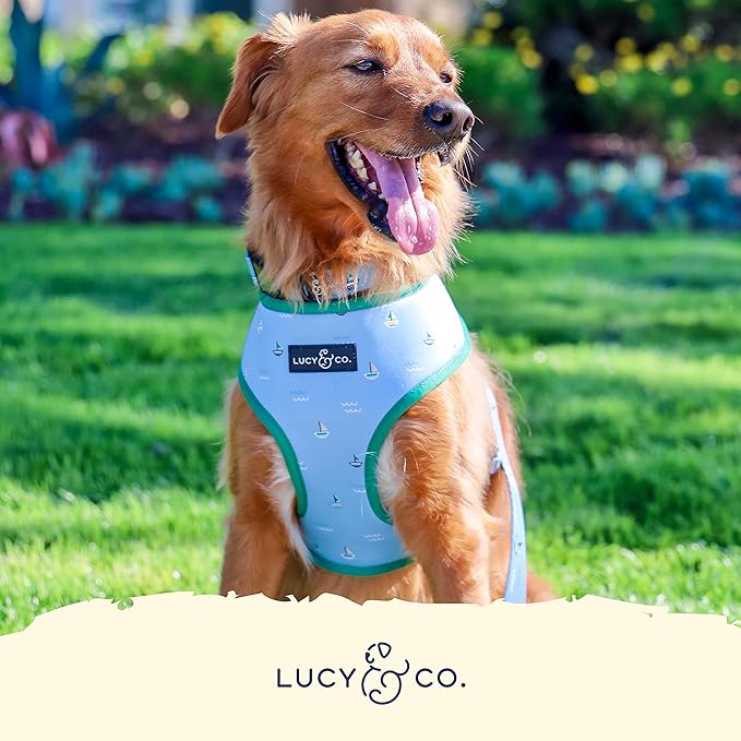 Lucy & Co. Set Sail Reversible Harness, Walking Halter - Best Designer Pet Harnesses for Large Dogs - Padded Adjustable Vest for Easy Walking, X-Large, Blue & White Stripes & Sailboats