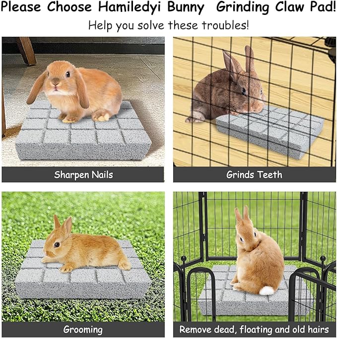 Hamiledyi 8PCS Rabbit Scratching Pads Bunny Lava Grinding Claw Pads Small Animal Foot Pads Hamster Scratch Board Chew Toys for Gerbil Chinchilla Hedgehog Guinea Pig Cage Accessories
