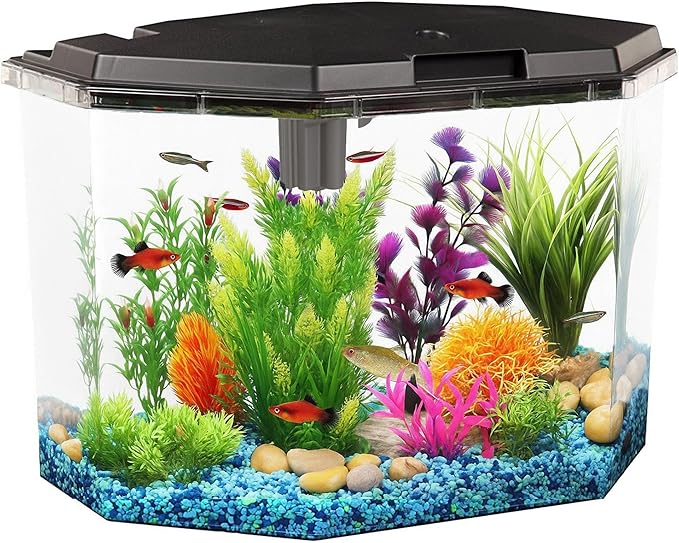 Koller Products 6.5-Gallon Aquarium Kit with Power Filter and LED Lighting, (AP650)