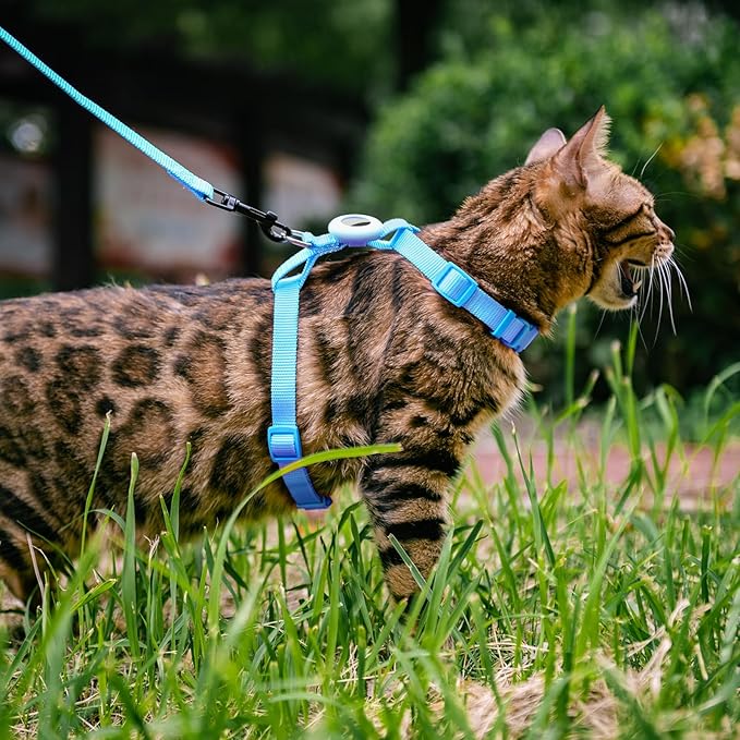 Cat Harness and Leash Set with Airtag Holder for Walking & Travelling, Escape Proof Cat Harness for Small Medium Large Kitten, Adjustable Lightweight Soft Cat Vests (Blue)