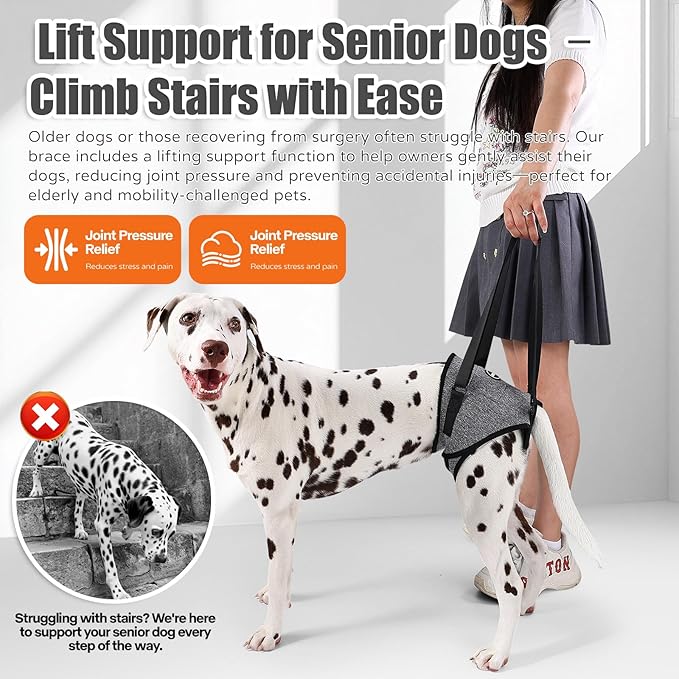 Dog Sling for Medium Large Dog Rear Leg, Lift Harness Provide Support with Muscle Atrophy and Joint Problems for Elderly Injured Arthritic Pet, Dog Weak Rear Legs Provides Rehabilitation Aid
