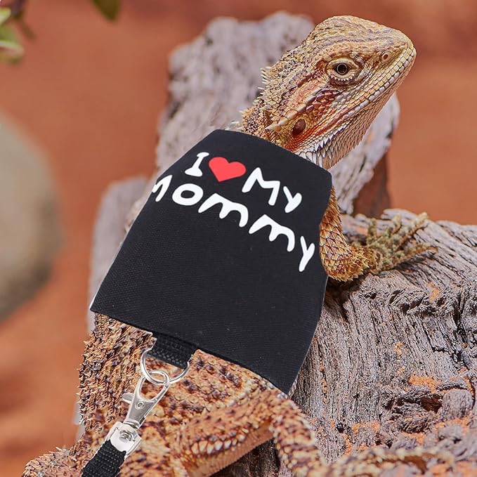 Small Animal Travel Backpack Carrier,Portable Bearded Dragon Bag for Sugar Glider,Hedgehog,Rat,Bunny,Rat,Outdoor Used (Green, Carrier L+ I Leash)