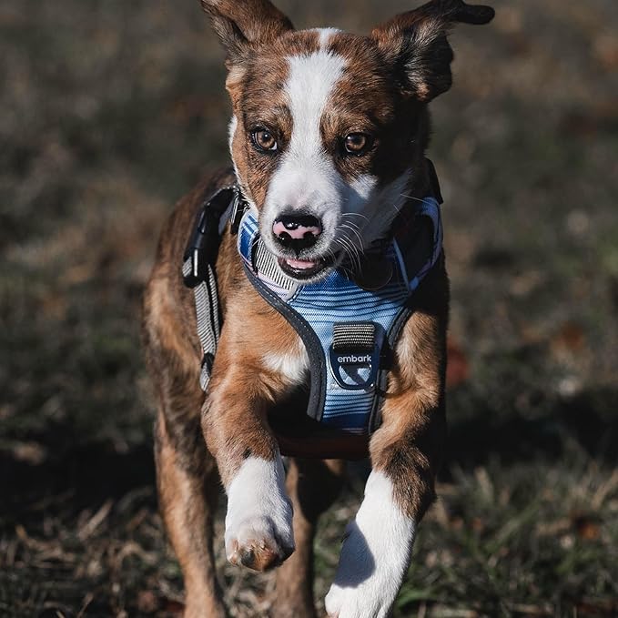 Embark Adventure Dog Harness, Reflective Trim No Pull Dog Harness for Large Dogs - Military Grade Nylon, Front Clip with Gel Lined Handle.