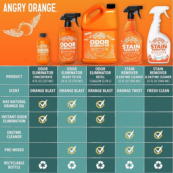 ANGRY ORANGE Pet Odor Eliminator Kit for Dog Urine - Citrus - 24 oz + UV Flashlight