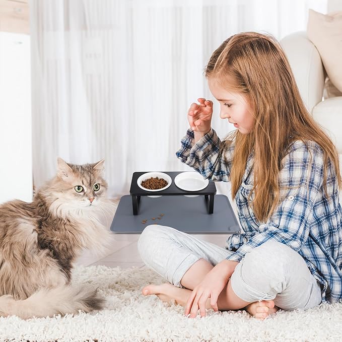 Elevated Whisker Friendly Cat Bowls, 15 Tilted Stand Anti Vomiting Raised Dishes for Food and Water,2 Ceramic Bowls for Cats and Puppy,Black